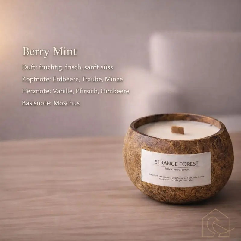 Duftkerze in Kokosnussschale – handgefertigt & nachhaltig