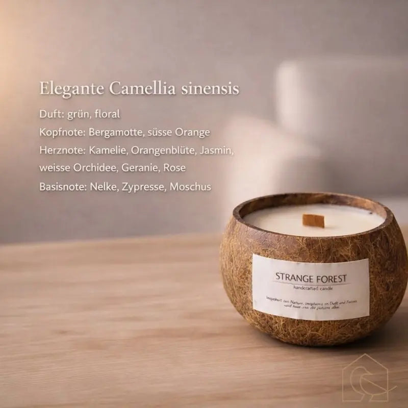 Duftkerze in Kokosnussschale – handgefertigt & nachhaltig