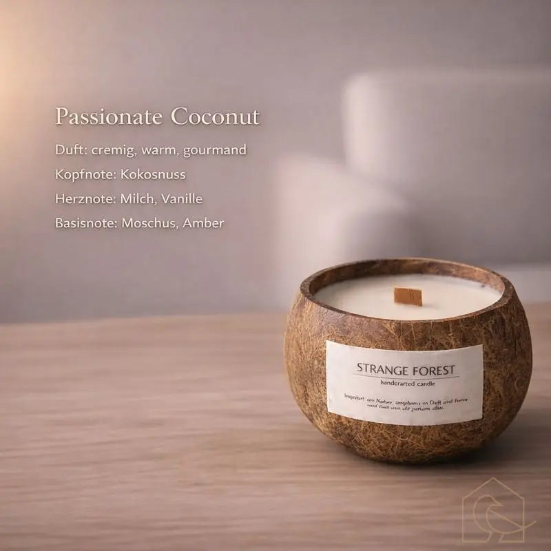 Duftkerze in Kokosnussschale – handgefertigt & nachhaltig