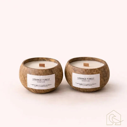 Duftkerze in Kokosnussschale – handgefertigt & nachhaltig - Heimecke.eu