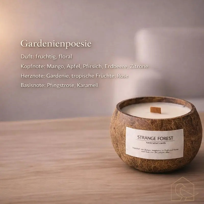 Duftkerze in Kokosnussschale – handgefertigt & nachhaltig