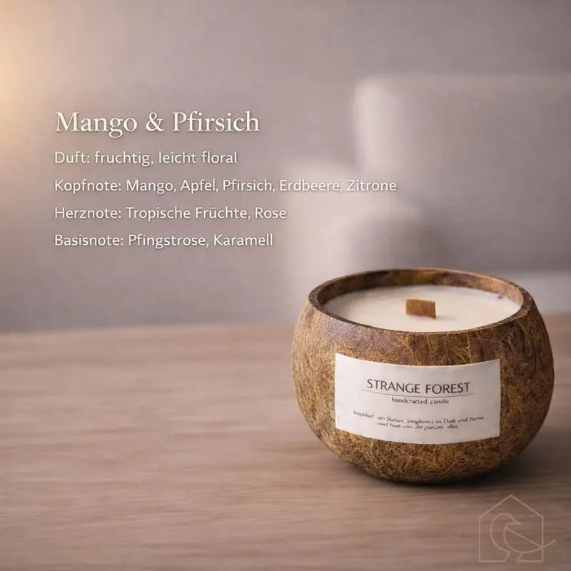 Duftkerze in Kokosnussschale – handgefertigt & nachhaltig